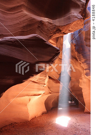 アンテロープ 4188846