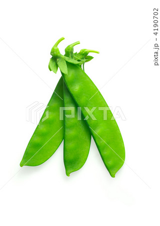 4190702