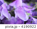 4190922