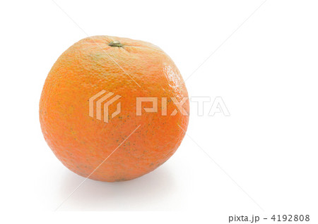 タンカン 4192808