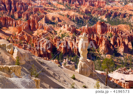 Bryce Canyon 4196573