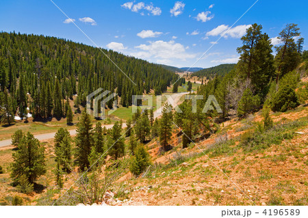 Winding road 4196589