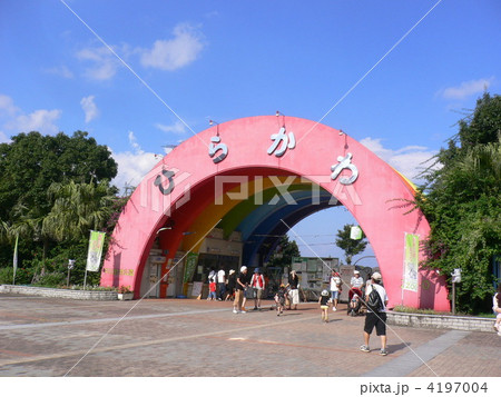 鹿児島市 平川動物公園 鹿児島市 平川動物公園 4197004