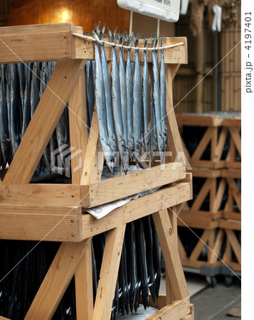 干物屋さん 4197401