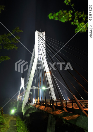 大分県佐伯市 唄げんか大橋 ライトアップ 大分県佐伯市 唄げんか大橋 ライトアップ 4197829