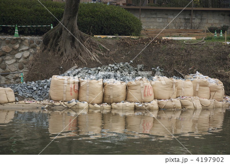 護岸工事 4197902