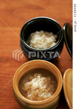 塩麹 塩麹 4198496