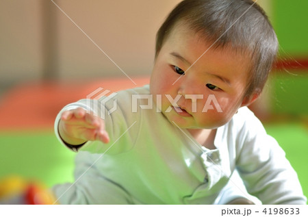 はいはい 4198633