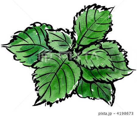 ooba.aojiso12228pix 4198673