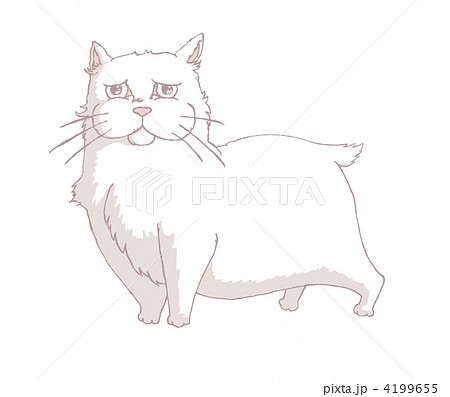 眼たれネコ 眼たれネコ 4199655