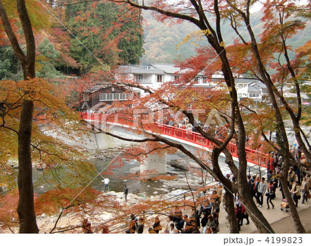 足助・香嵐渓の紅葉 4199823