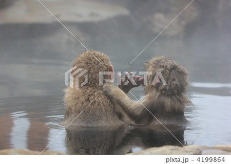 ねえねえ 4199864