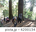 千葉山　大杉　山歩き 4200134