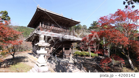 四国別格霊場第15番、金毘羅奥の院「箸蔵寺」紅葉の仁王門 四国別格霊場第15番、金毘羅奥の院「箸蔵寺」紅葉の仁王門 4200142