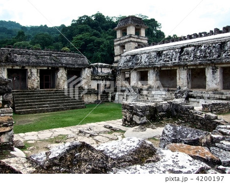 パレンケ 4200197