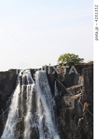 ビクトリアフォール 4201352