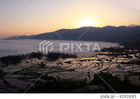 世界最大　雲南省元陽のハニ族棚田 4201683