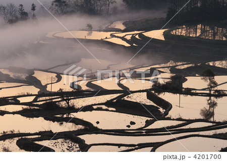 世界最大　雲南省元陽のハニ族棚田 4201700