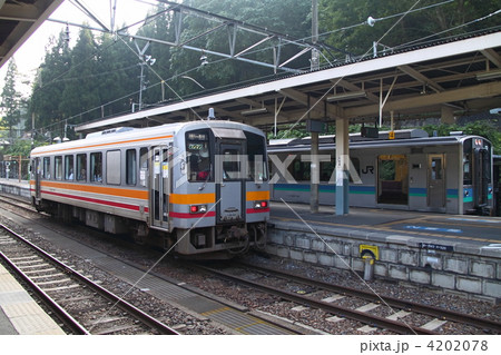 4202078