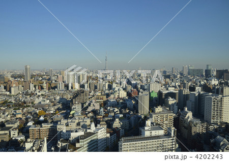 小石川からスカイツリーを望む 4202243