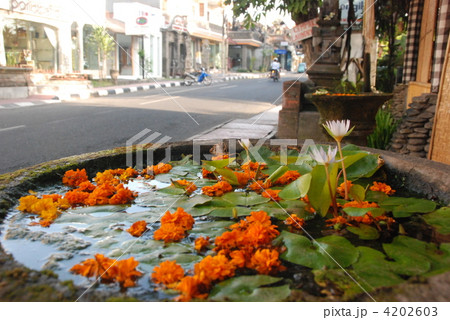 花と街角（ウブド／バリ島･インドネシア） 4202603
