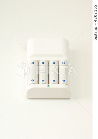 充電式電池 充電式電池 4203165