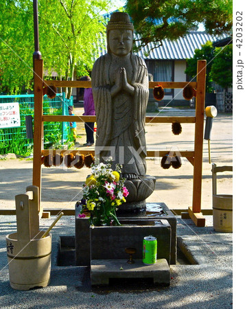 観音像（手児奈霊神堂／千葉県市川市真間） 4203202