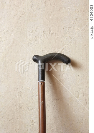 walking stick 4204003