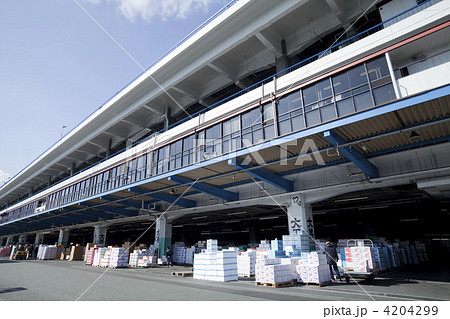 大阪市中央卸売市場 4204299