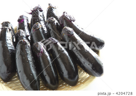 茄子 茄子 4204728