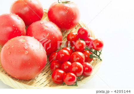 トマト トマト 4205144