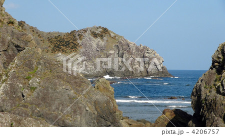 徳浜のライオン岩 4206757