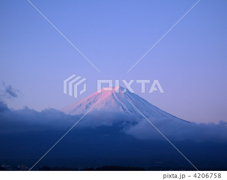 紅富士 紅富士 4206758