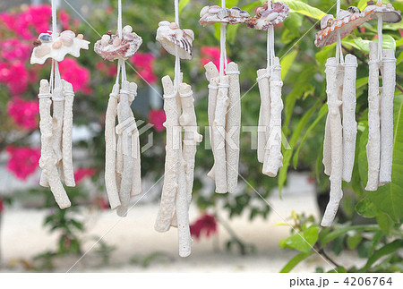 Coral And Shell Wind Bell Stock Photo