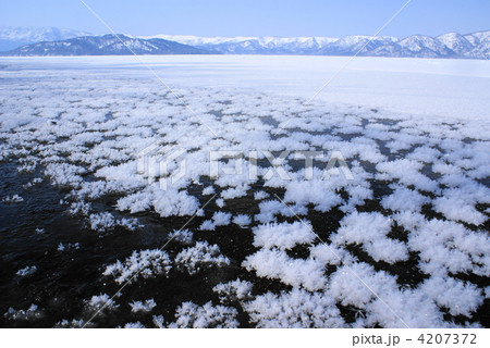 フロストフラワー 屈斜路湖 (弟子屈町) フロストフラワー 屈斜路湖 (弟子屈町) 4207372