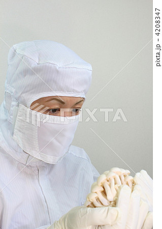 きのこ無菌栽培 4208347