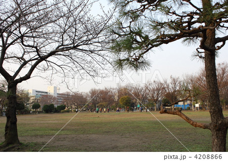 行徳・駅前公園 4208866