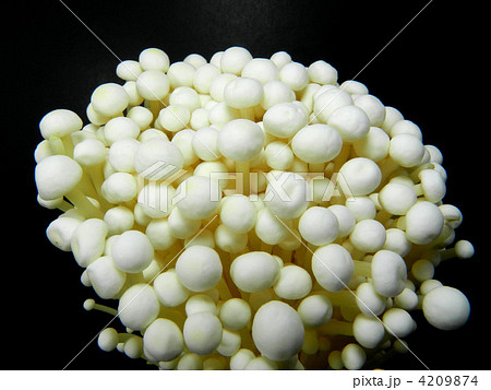 エノキダケ（えのき茸） 4209874