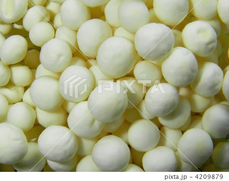 エノキダケ（えのき茸） 4209879