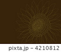 4210812