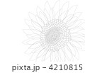 4210815