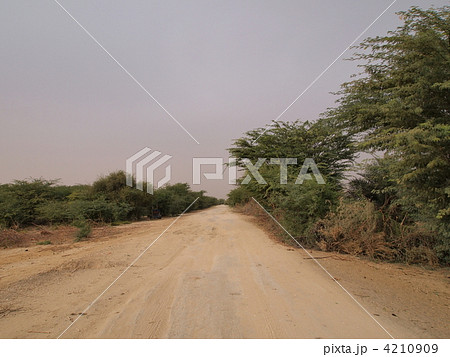 モーリタニア：セネガル国境への未舗装道路 4210909