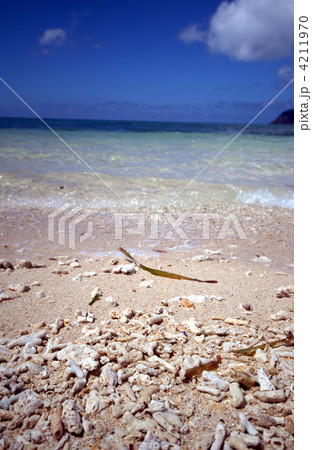 イダの浜 4211970