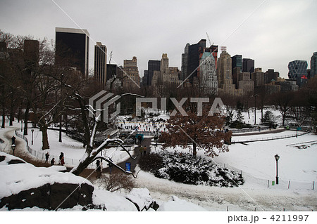 冬のセントラルパーク 4211997