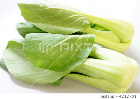 ちんげんさい 4212701