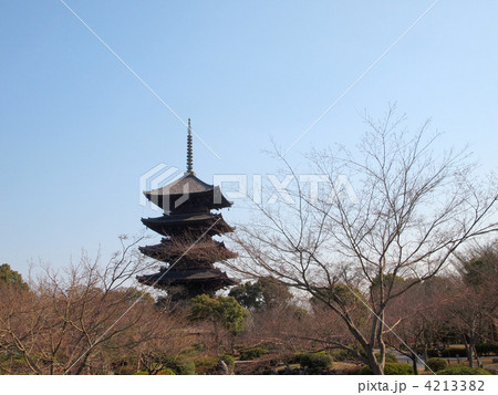 世界遺産・京都　東寺の五重塔 4213382