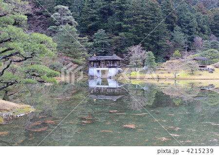 京都・修学院離宮 4215239