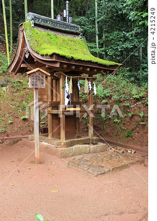京都・宇治上神社 4215249