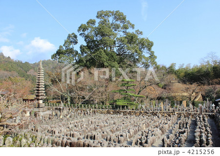 化野念仏寺 4215256