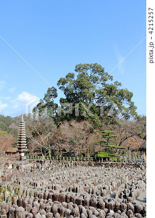 化野念仏寺 4215257